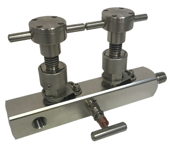 Gauge & Root Valves