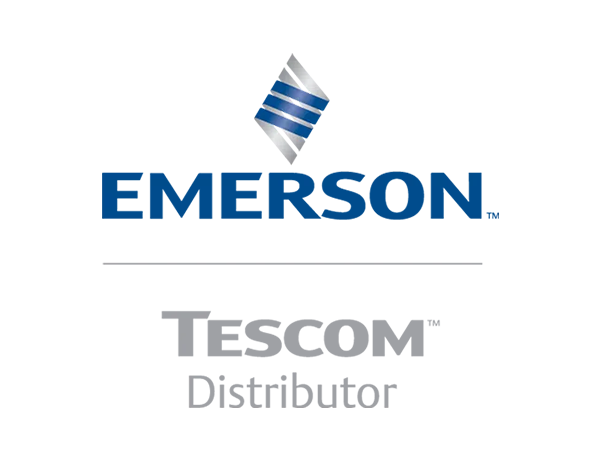 Emerson Tescom Logo Cropped